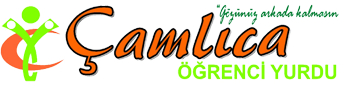 site logo